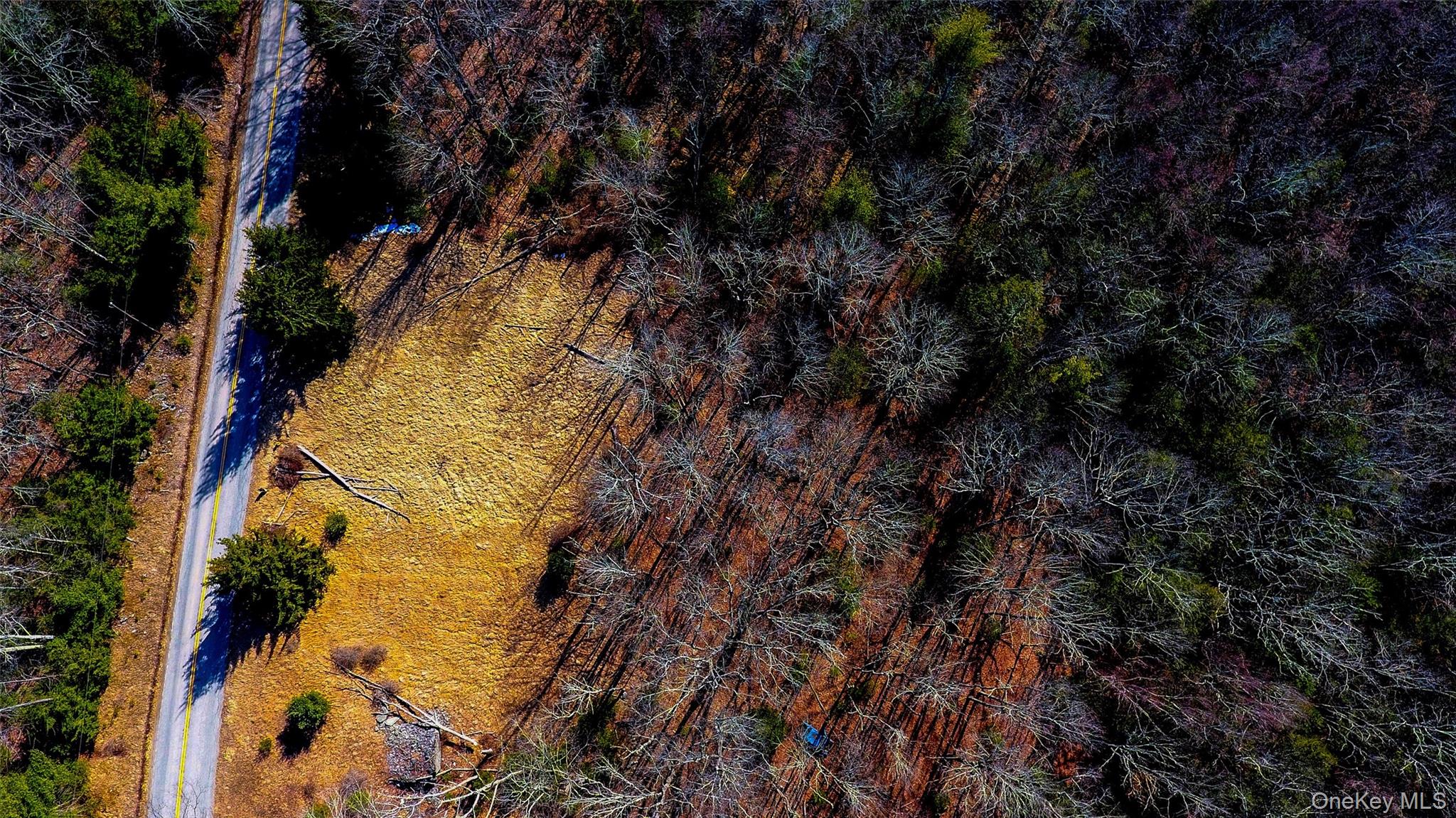 1021 Pine Kill Road Wurtsboro, NY 12790 - Photo 19 of 37 Bird's eye view