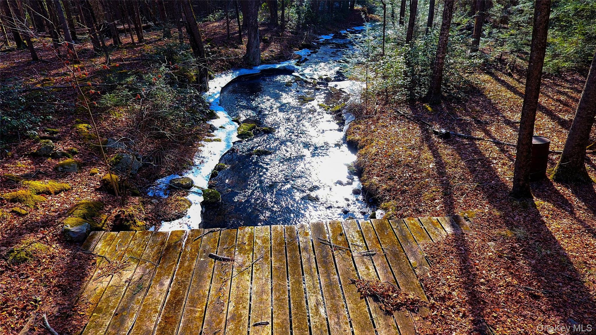 1021 Pine Kill Road Wurtsboro, NY 12790 - Photo 21 of 34