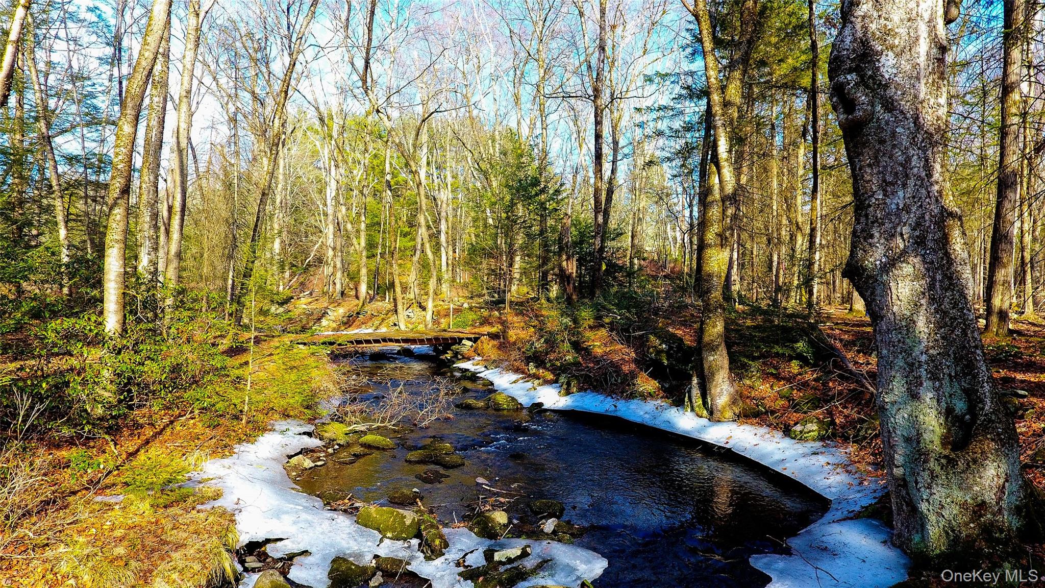 1021 Pine Kill Road Wurtsboro, NY 12790 - Photo 22 of 37 View of water feature featuring a wooded view
