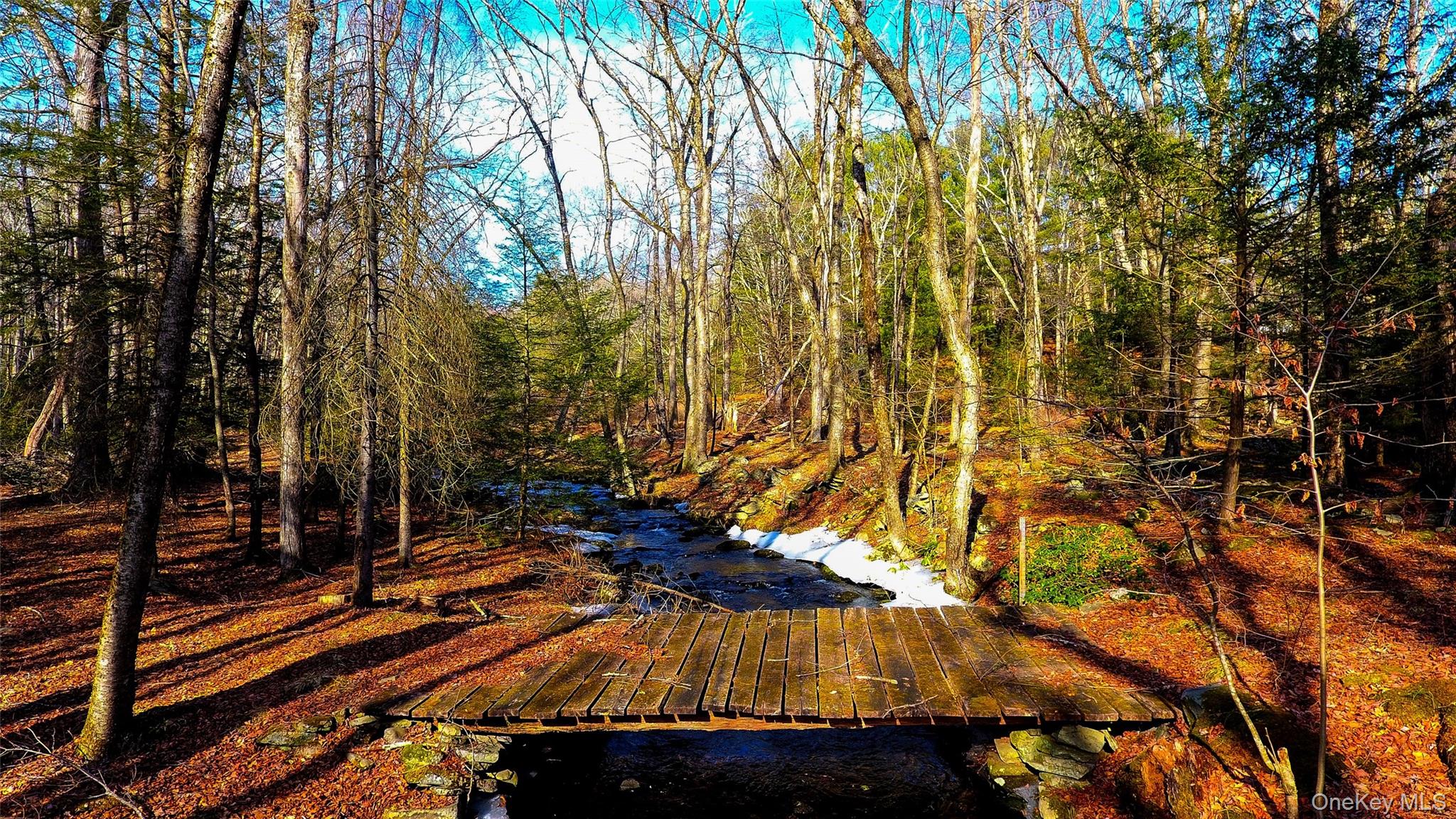 1021 Pine Kill Road Wurtsboro, NY 12790 - Photo 22 of 34 strong enough bridge for lumber trucks in the past