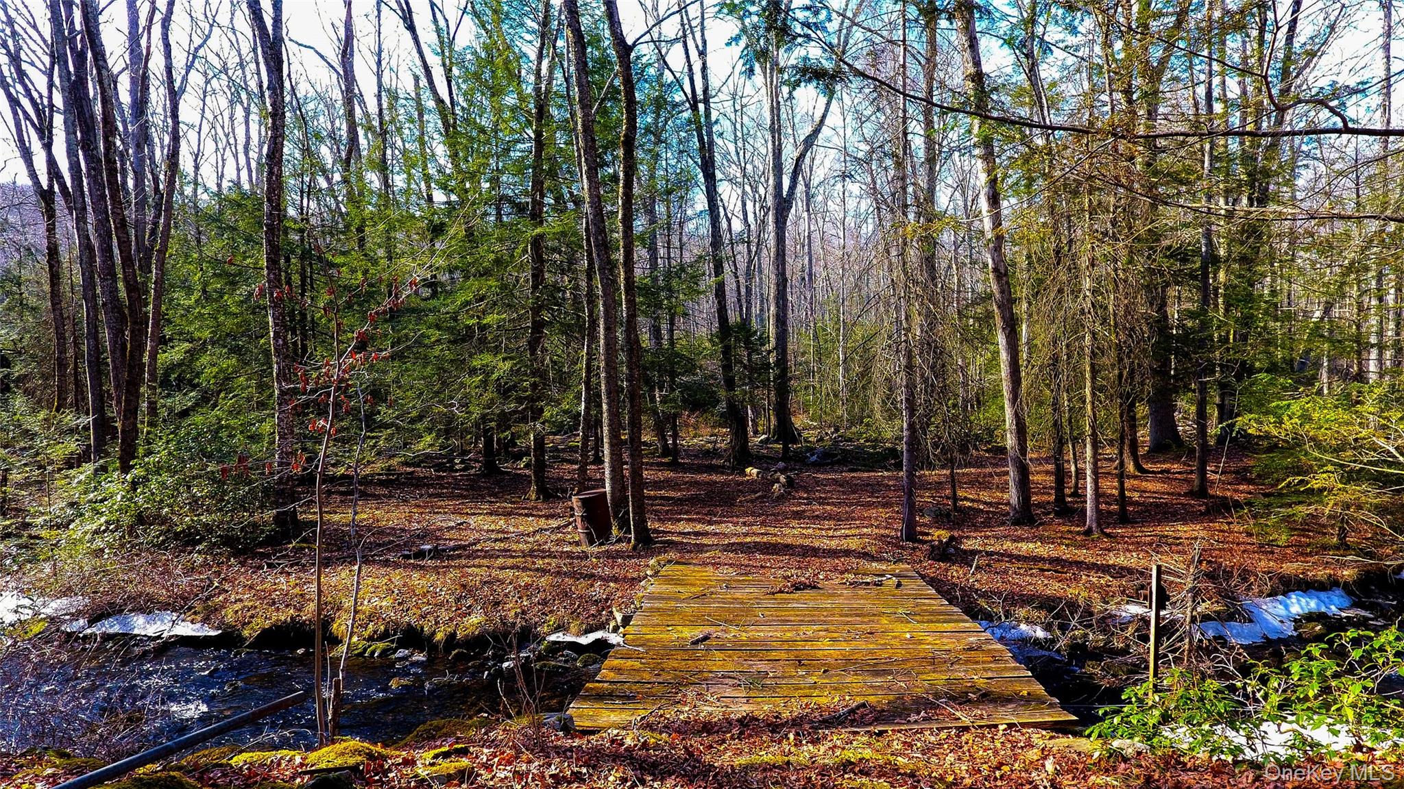 1021 Pine Kill Road Wurtsboro, NY 12790 - Photo 25 of 37 bridge over Pine Kill Creek, looking north