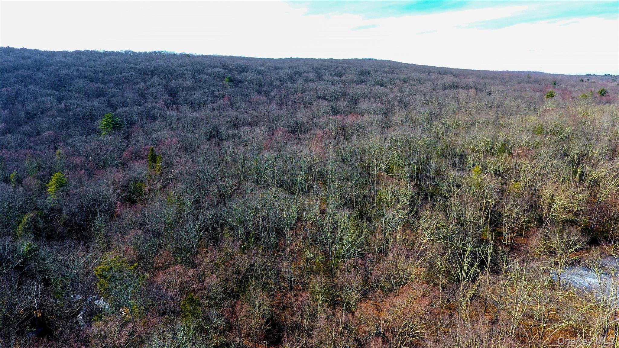 1021 Pine Kill Road Wurtsboro, NY 12790 - Photo 25 of 34 Bird's eye view with a view of trees