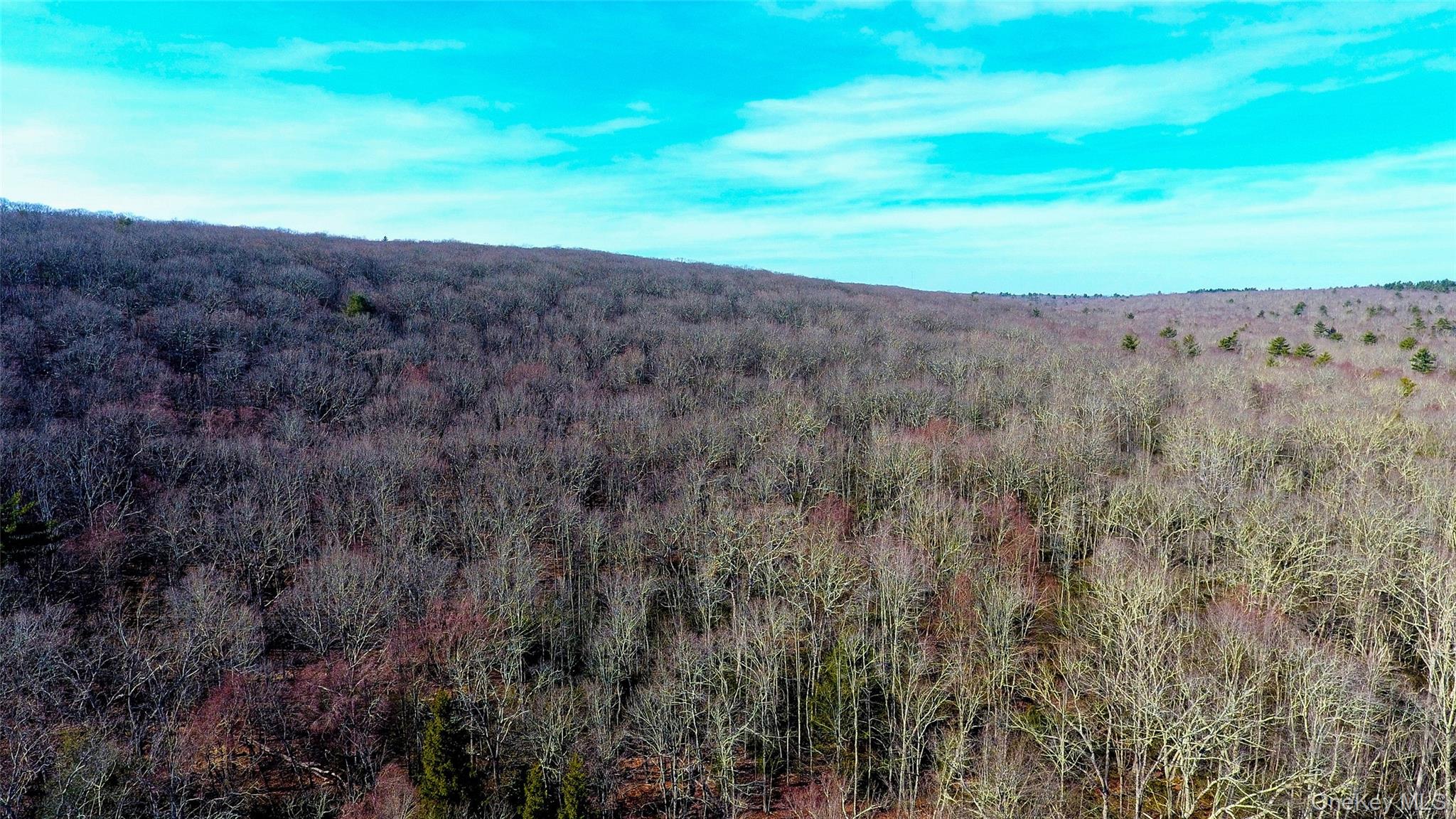 1021 Pine Kill Road Wurtsboro, NY 12790 - Photo 26 of 37 View of mountain feature featuring a forest view