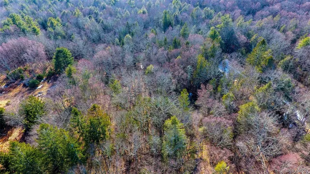 $899,000 | 1021 Pine Kill Road, Wurtsboro, NY 12790