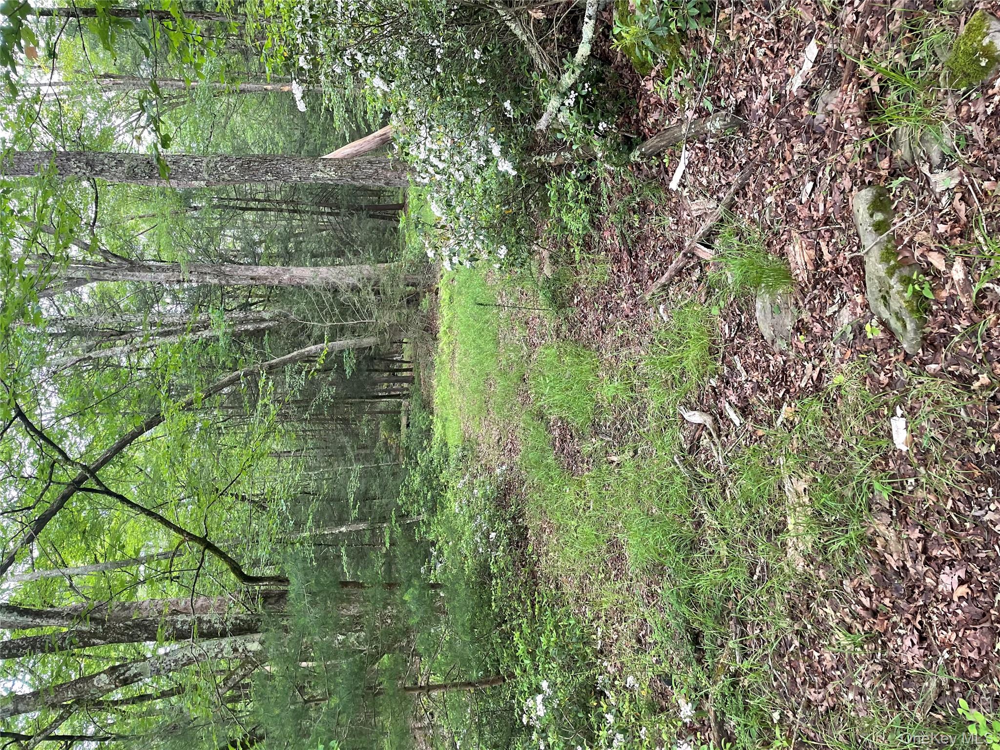 1021 Pine Kill Road Wurtsboro, NY 12790 - Photo 3 of 34 a big yard with lots of green space and deers