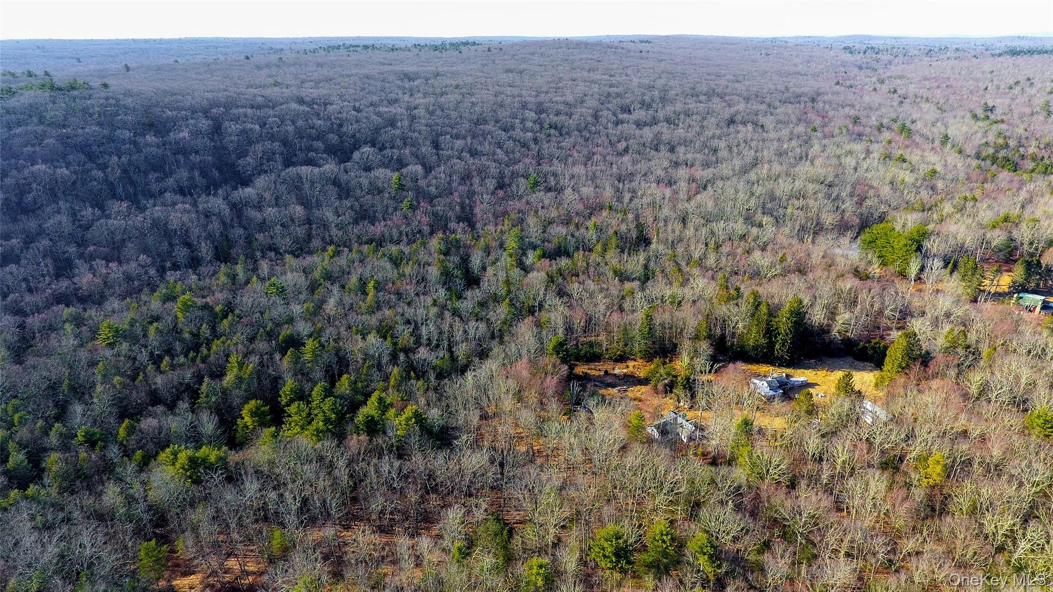 1021 Pine Kill Road Wurtsboro, NY 12790 - Photo 31 of 37 Birds eye view of property featuring a view of trees