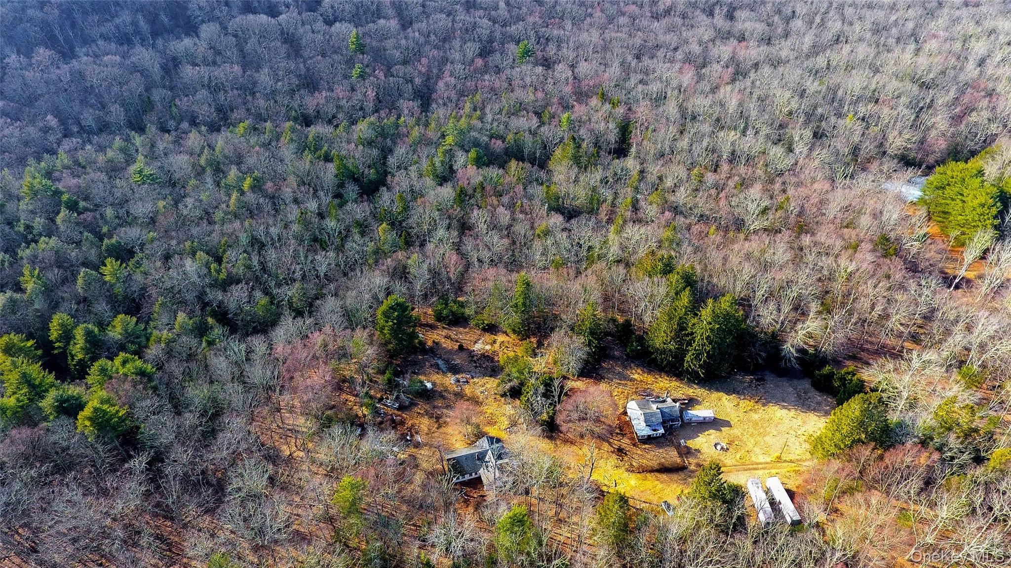 1021 Pine Kill Road Wurtsboro, NY 12790 - Photo 32 of 37 Drone / aerial view featuring a forest view