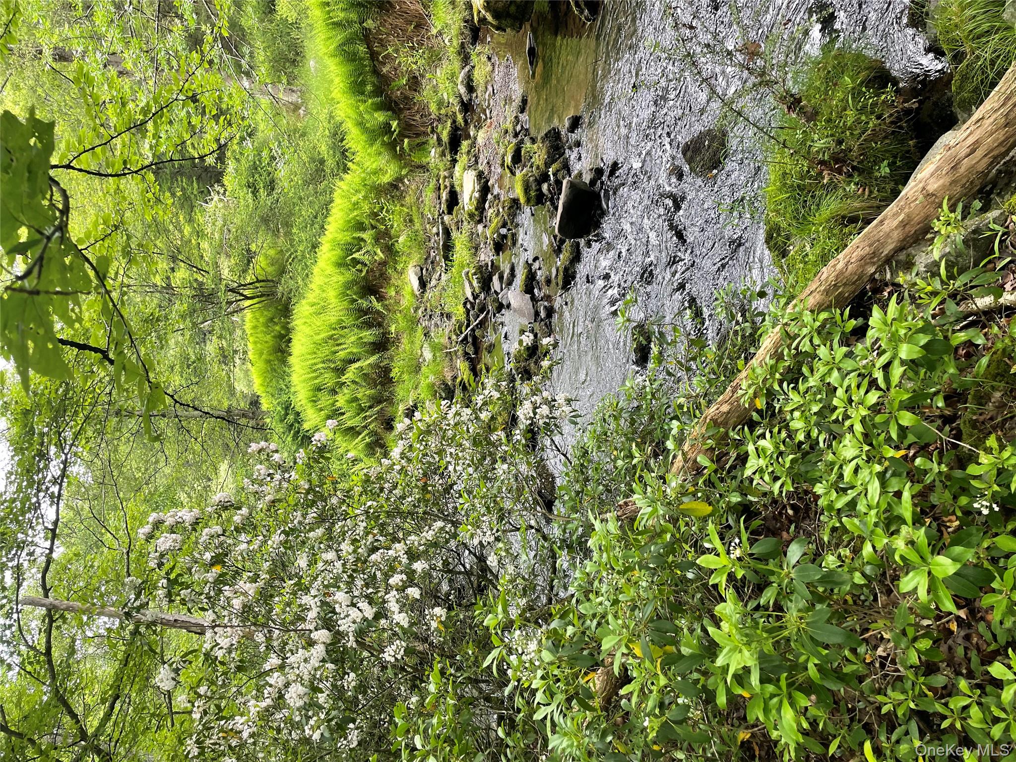 1021 Pine Kill Road Wurtsboro, NY 12790 - Photo 34 of 34 a view of a green field with lots of bushes