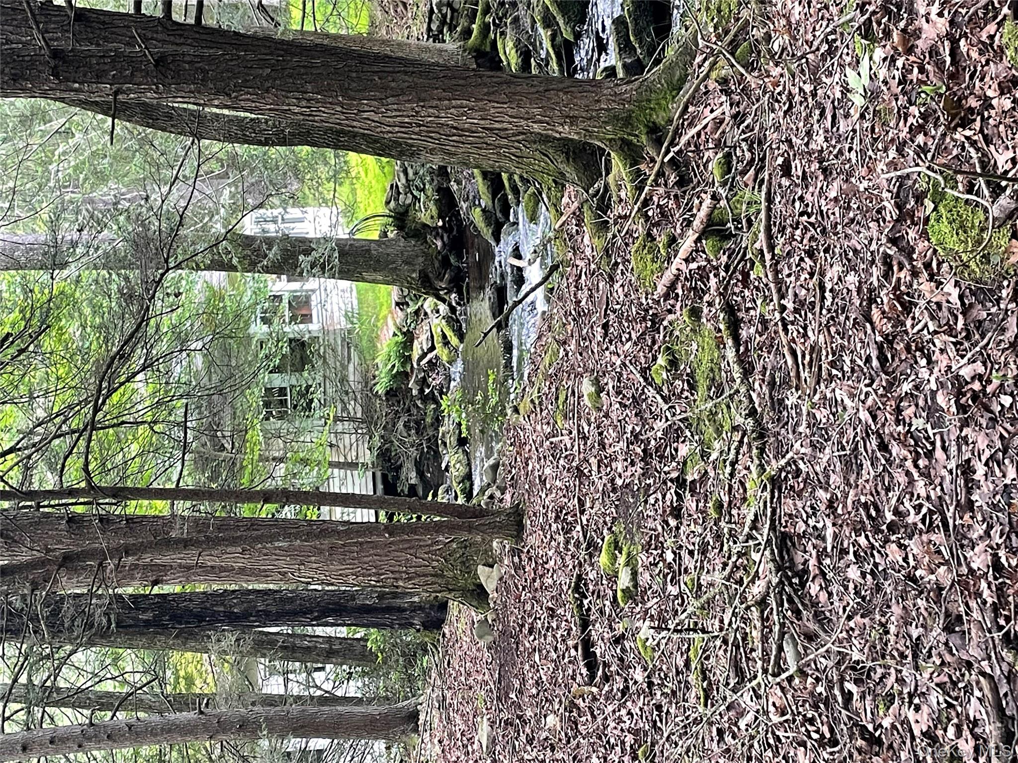 1021 Pine Kill Road Wurtsboro, NY 12790 - Photo 36 of 37