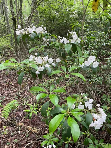 $899,000 | 1021 Pine Kill Road, Wurtsboro, NY 12790