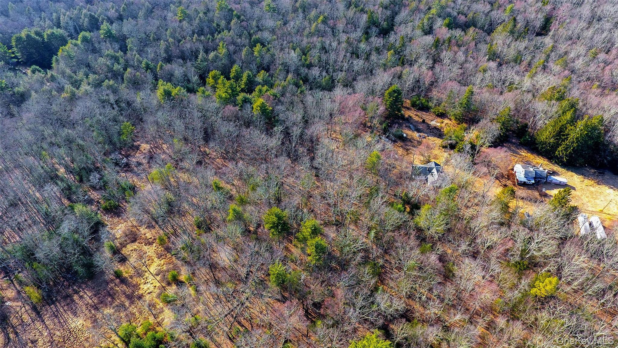 1021 Pine Kill Road Wurtsboro, NY 12790 - Photo 6 of 37 Birds eye view of property with a forest view