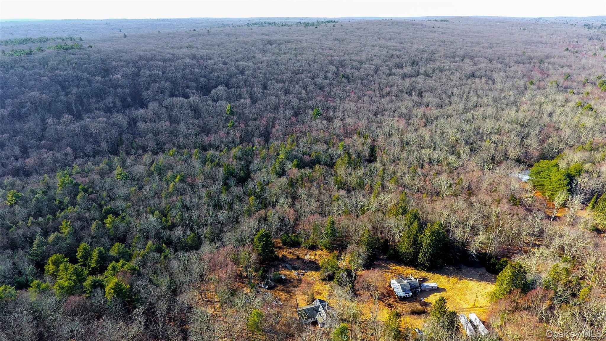 1021 Pine Kill Road Wurtsboro, NY 12790 - Photo 7 of 37 Bird's eye view featuring a forest view