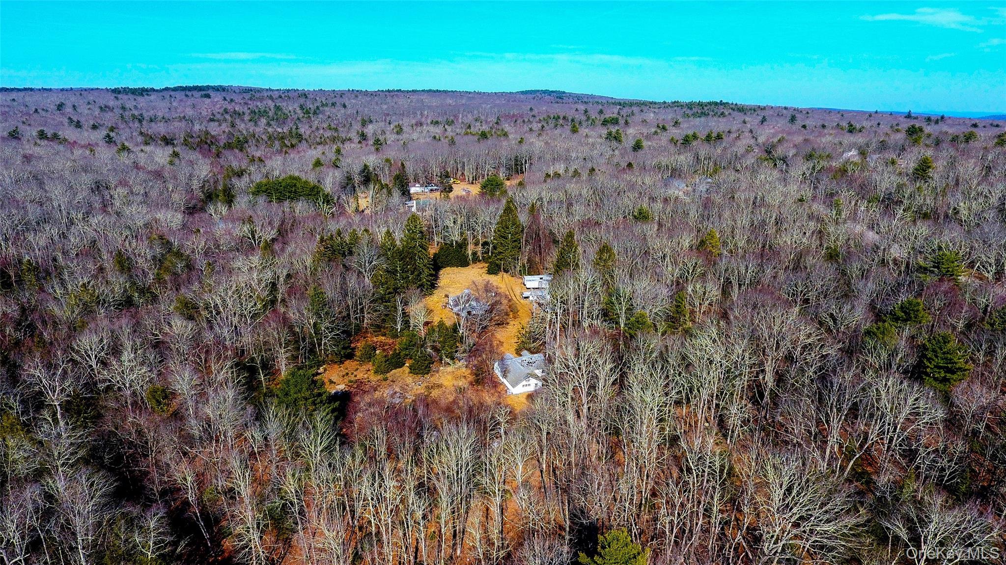 1021 Pine Kill Road Wurtsboro, NY 12790 - Photo 10 of 34 Bird's eye view with a view clear area along road