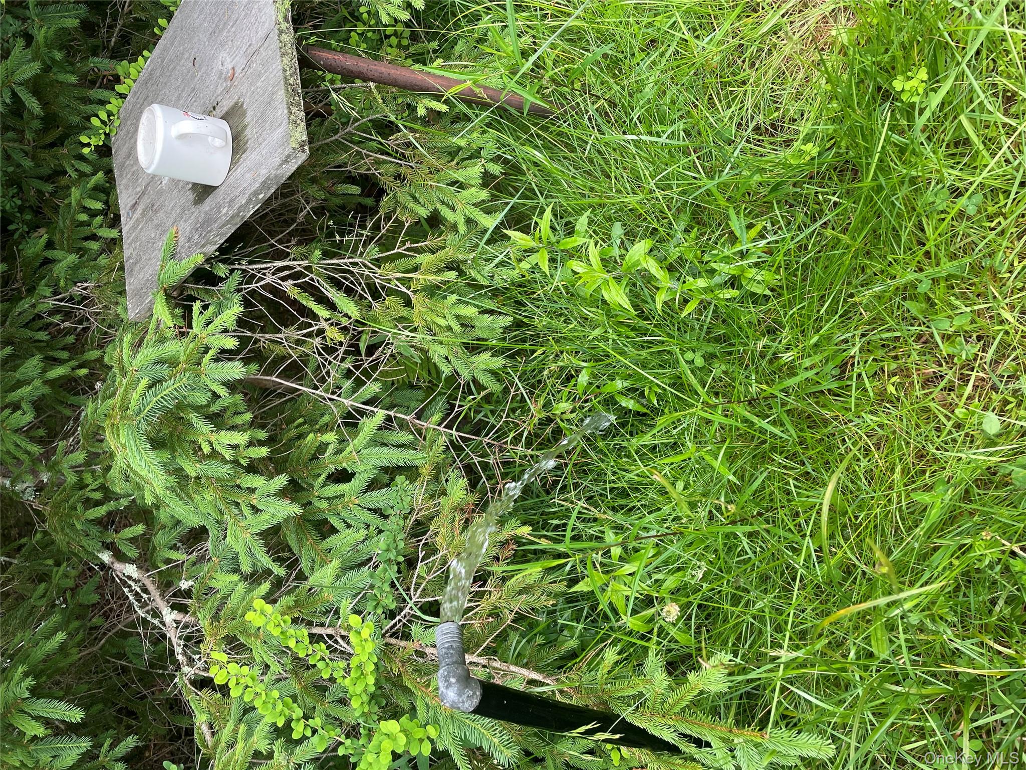 1021 Pine Kill Road Wurtsboro, NY 12790 - Photo 10 of 37 Artesian Well, running constantly, near house site. Right now its feeding the original trout pond