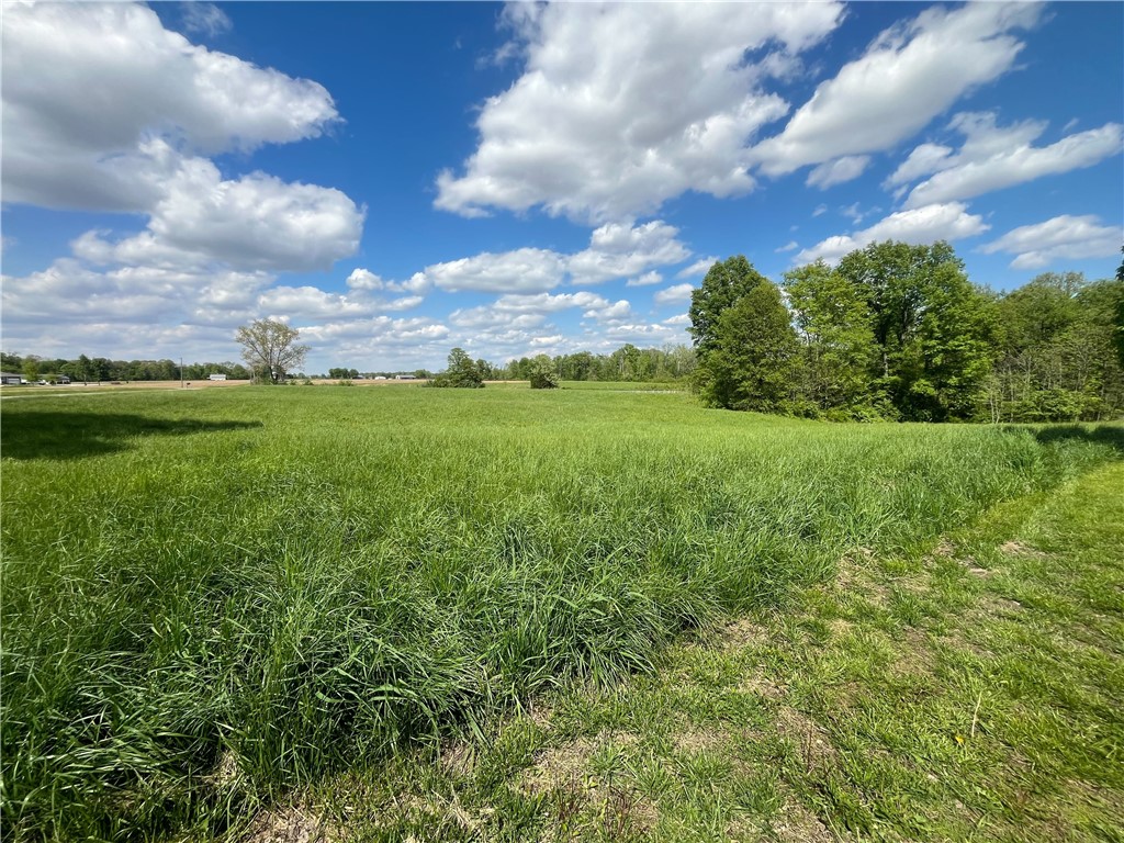 10828 North Grand Turn Road Marshall, IL 62441 - Photo 8 of 12