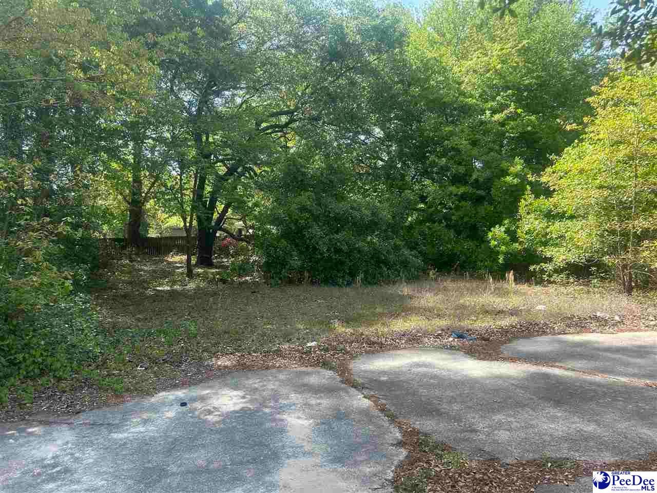 2231 Peniel Road Timmonsville, SC 29161 - Photo 4 of 19 Gallery Image 4