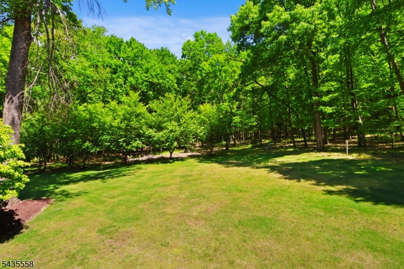 65 O Brien Road Hackettstown, NJ 07840 - Photo 2 of 48
