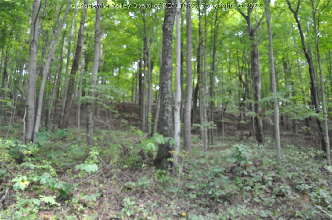 0 Fuquays Creek Road Sod, WV 25564 - Photo 21 of 21 Gallery Image 21