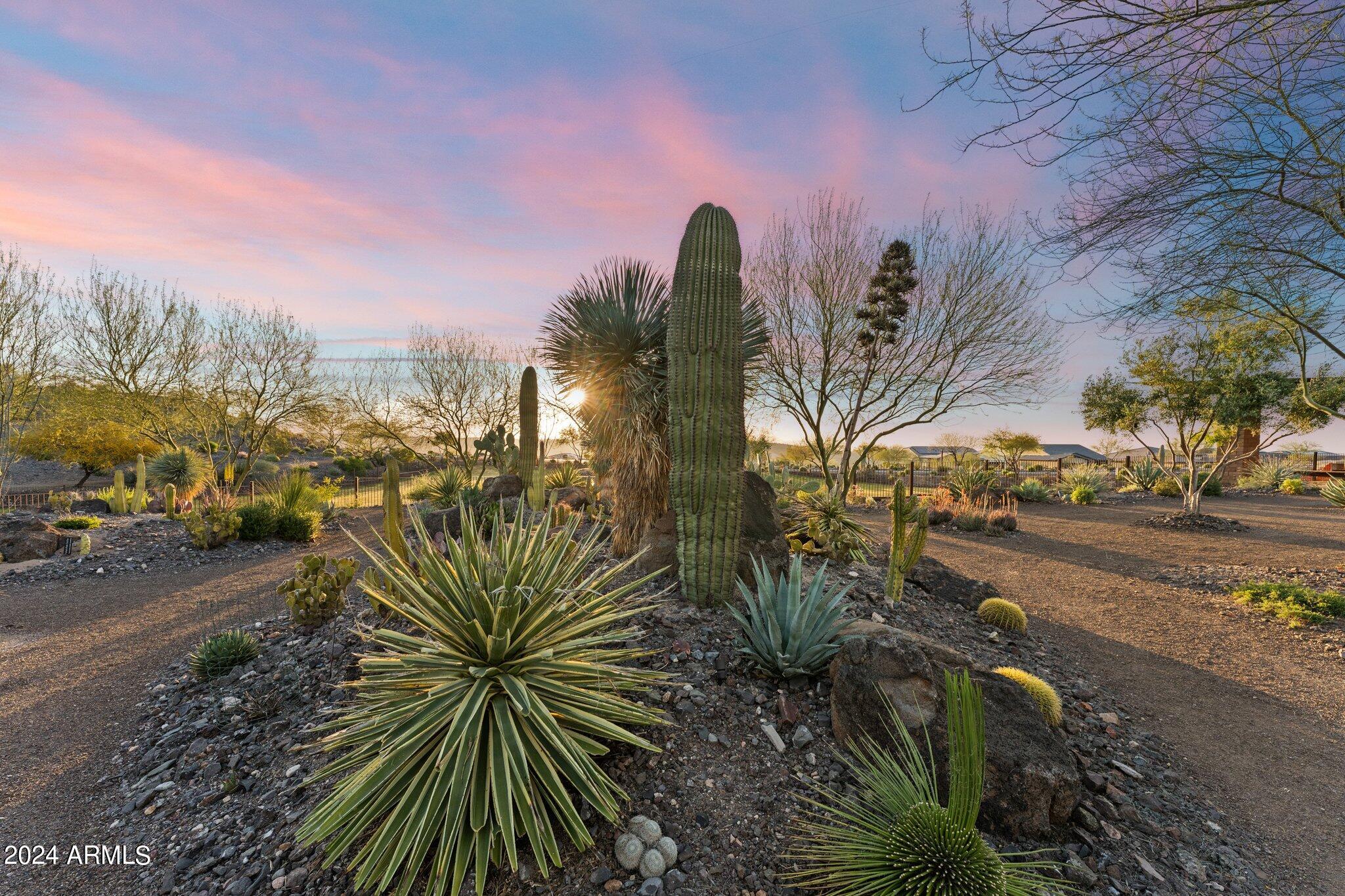 3823 Ridge Runner Way Wickenburg, AZ 85390 - Photo 46 of 66 Cactus