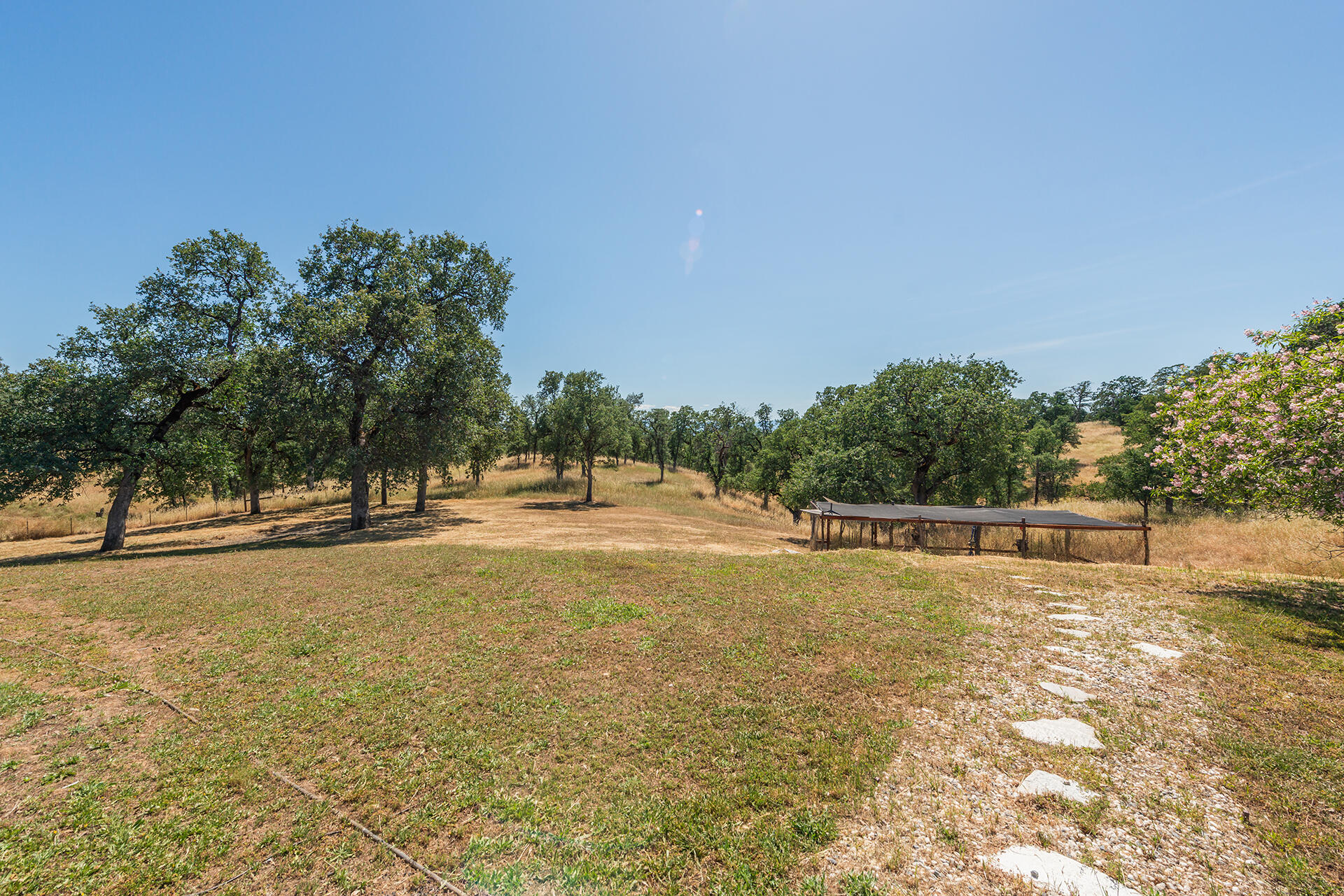 13575 Gas Point Road Igo, CA 96047 - Photo 42 of 59 Backyard