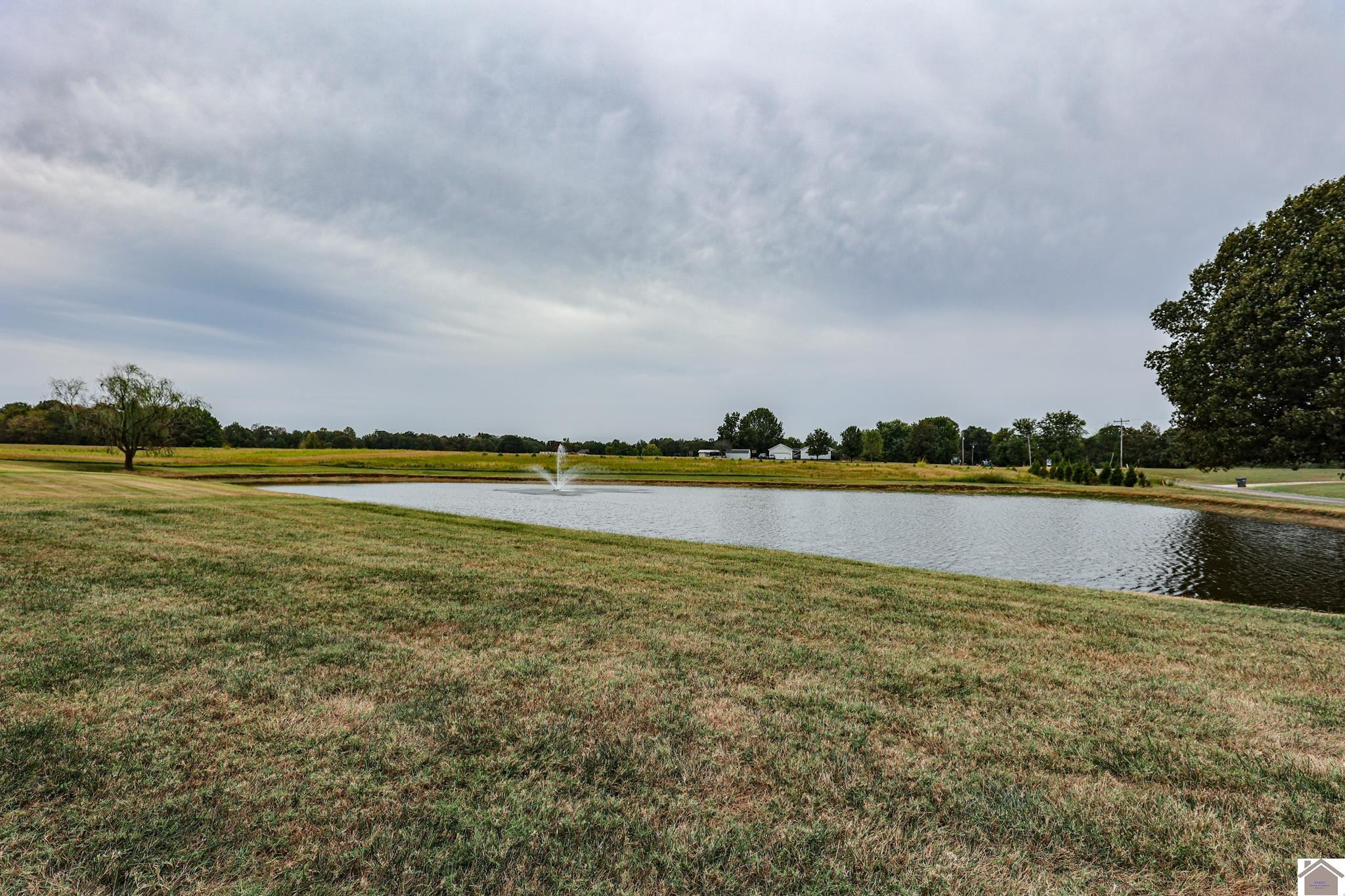 Pond