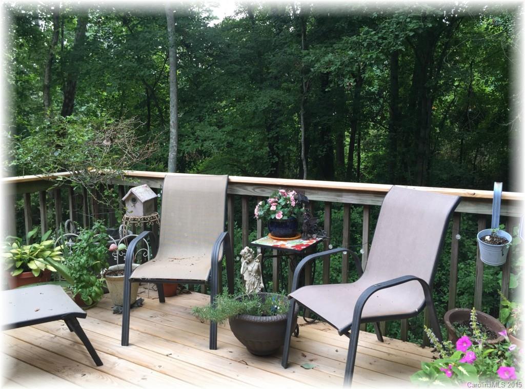 609 Reed Creek Road Mooresville, NC 28117 - Photo 21 of 23 Gallery Image 21