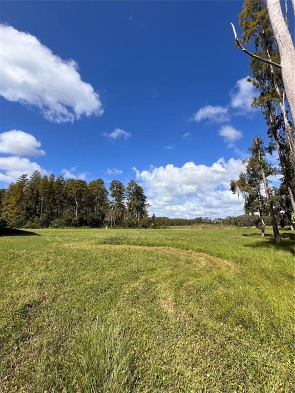 a view of an ocean from a yard