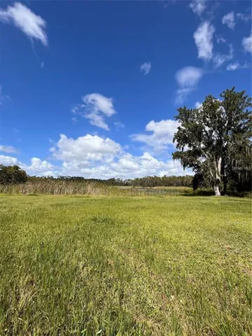 $2,650,000 | 1029 Van Dyke Road, Lutz, FL 33548