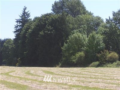 -xxx1 183rd Avenue Southwest Rochester, WA 98579 - Photo 1 of 1 Gallery Image 1