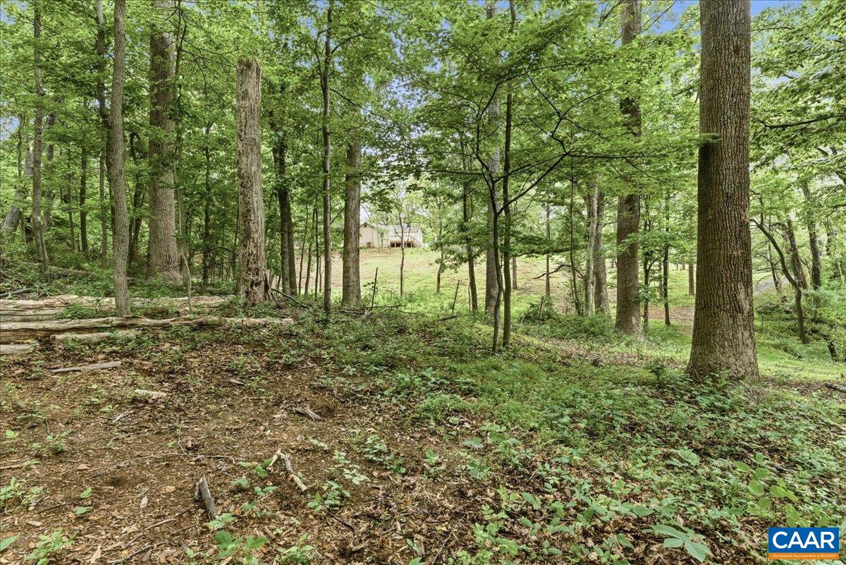 615 Half Mile Branch Road Crozet, VA 22932 - Photo 10 of 20
