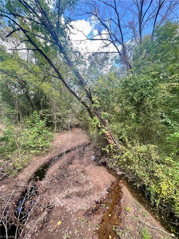 0 Corbett Ridge Road Mebane, NC 27302 - Photo 7 of 8 creek bed