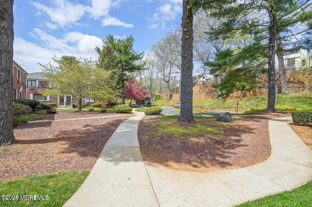 a view of a yard with plants and trees