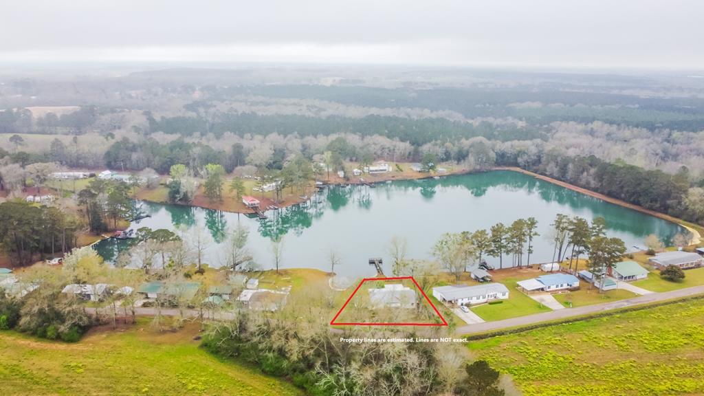 322 Windsor Lake Road Chancellor, AL 36316 - Photo 1 of 14 Main View