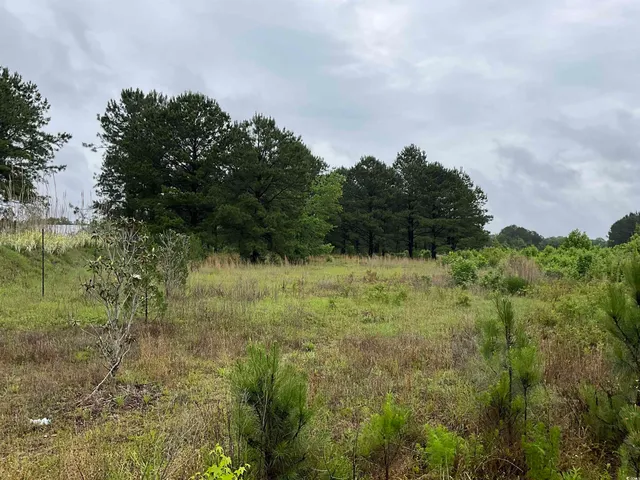 $685,000 | 1329 Turner Road, Florence, SC 29506