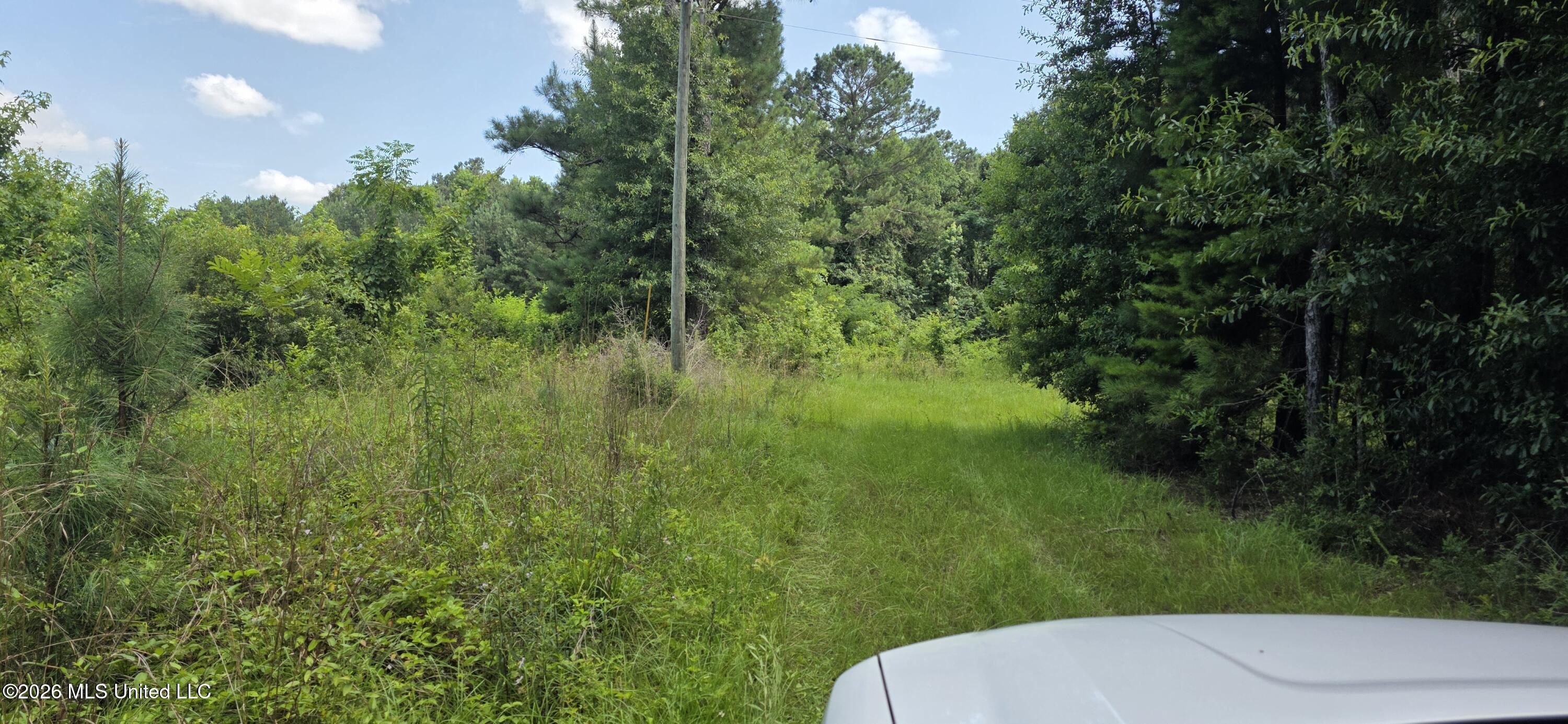 2046 Barto Leggett Road McComb, MS 39648 - Photo 10 of 29 20260623_155528