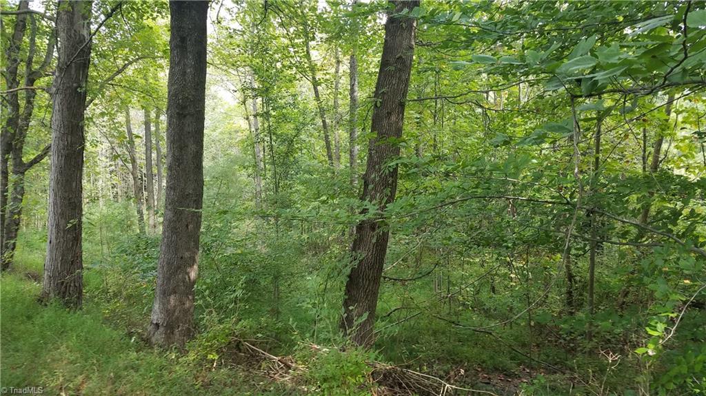 12 Noel Road Stoneville, NC 27048 - Photo 2 of 3