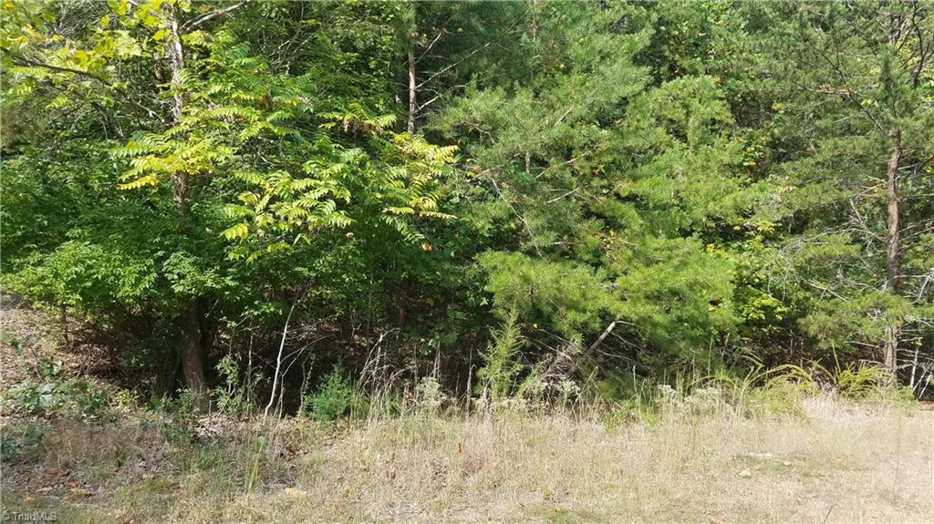 12 Noel Road Stoneville, NC 27048 - Photo 3 of 3