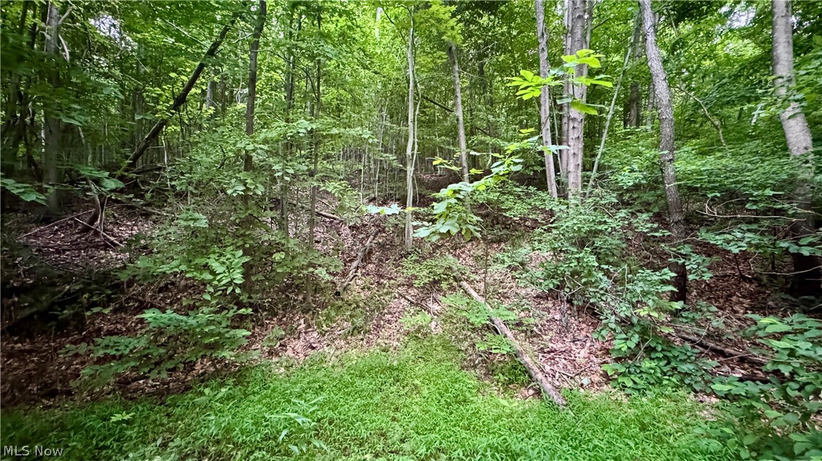 Marlott Run Road Kimbolton, OH 43749 - Photo 10 of 49