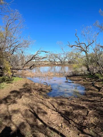 $614,900 | Tbd 158.50 Acres, Trent, TX 79561