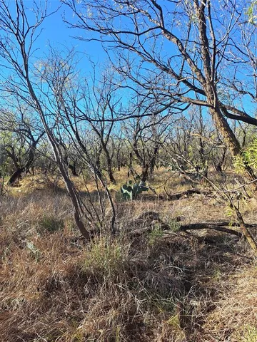 a view of a yard with wooden fence