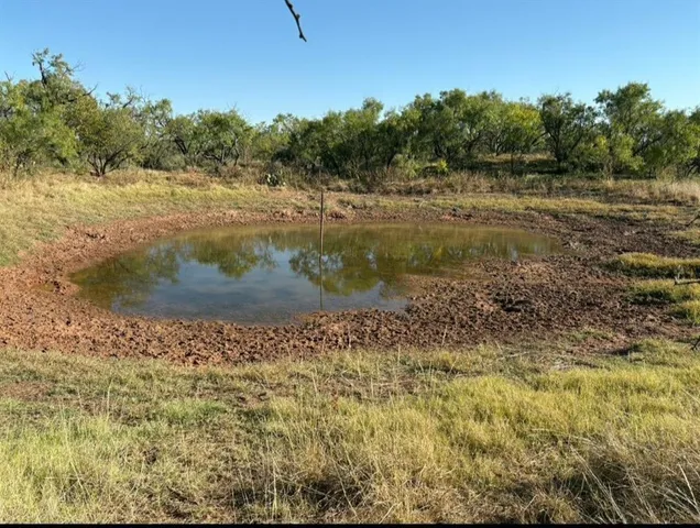 a view of a dry yard