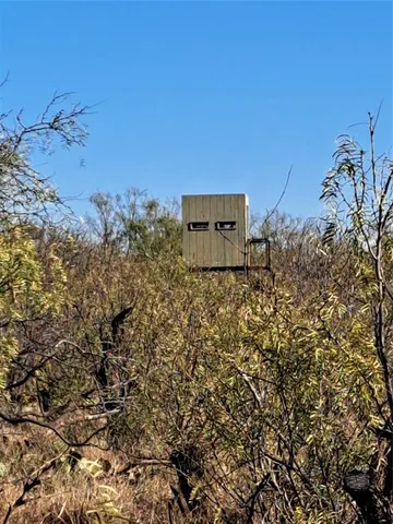 a view of a fire pit with large trees