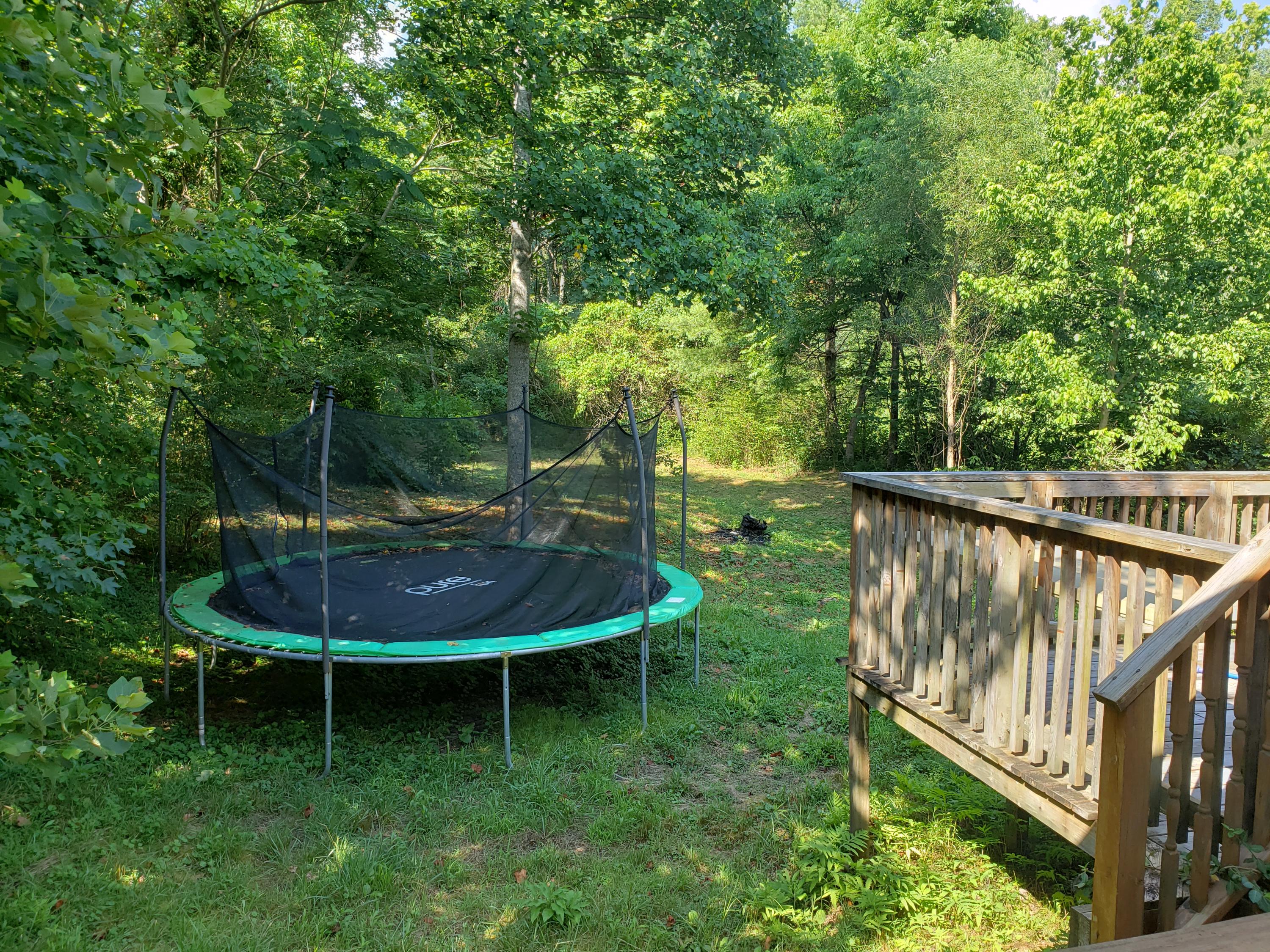 219 Lum Webb Road Lancing, TN 37770 - Photo 9 of 9 20200716_171204