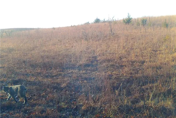 $690,750 | 0 South K57 Hwy Junction, Junction City, KS 66441