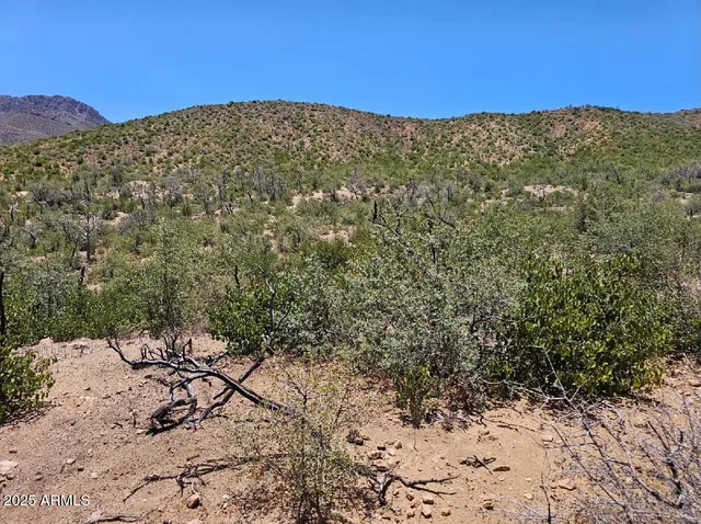 $180,000 | Tbd South Tbd S El Capitan Drive, Winkelman, AZ 85192