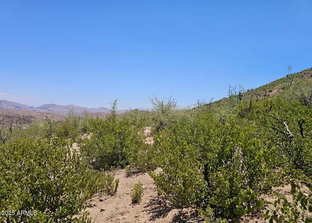 $180,000 | Tbd South Tbd S El Capitan Drive, Winkelman, AZ 85192