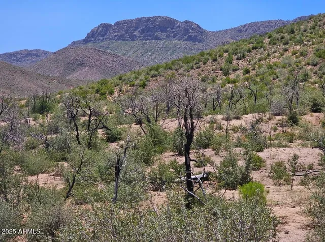 $180,000 | Tbd South Tbd S El Capitan Drive, Winkelman, AZ 85192