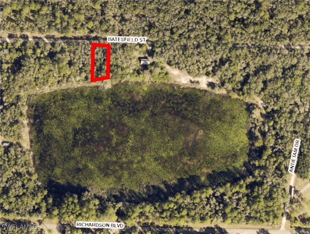 35028 Batesfield Street Webster, FL 33597 - Photo 4 of 8 a view of outdoor space