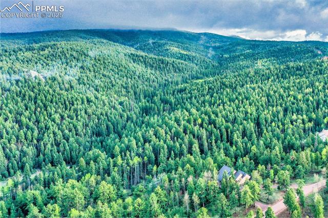 2100 Elk Ridge North Divide, CO 80814 - Photo 29 of 35 Stunning views