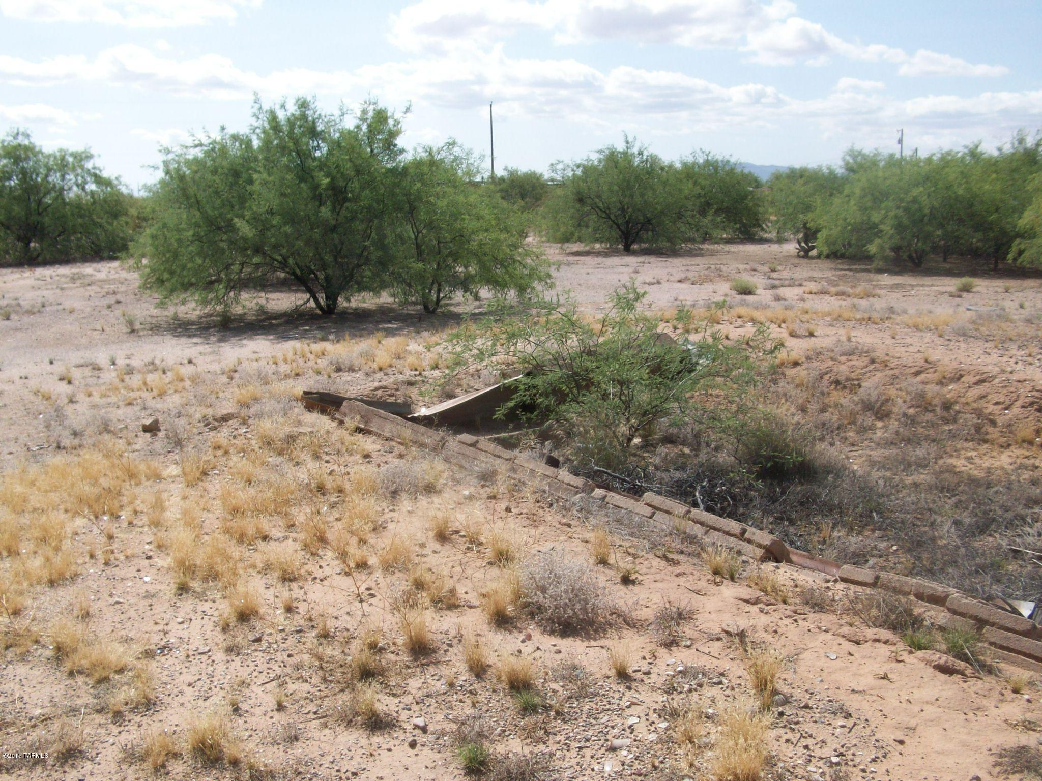 16155 West El Tiro Road Marana, AZ 85653 - Photo 5 of 7